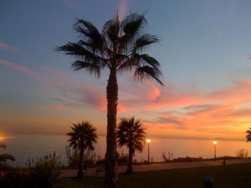 Mar Azul Resort — Estepona — photo 4