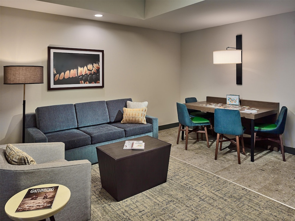 Embassy Suites by Hilton Gatlinburg Resort - photo 31