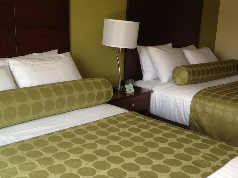 Cobblestone Inn and Suites Holyoke - photo 8