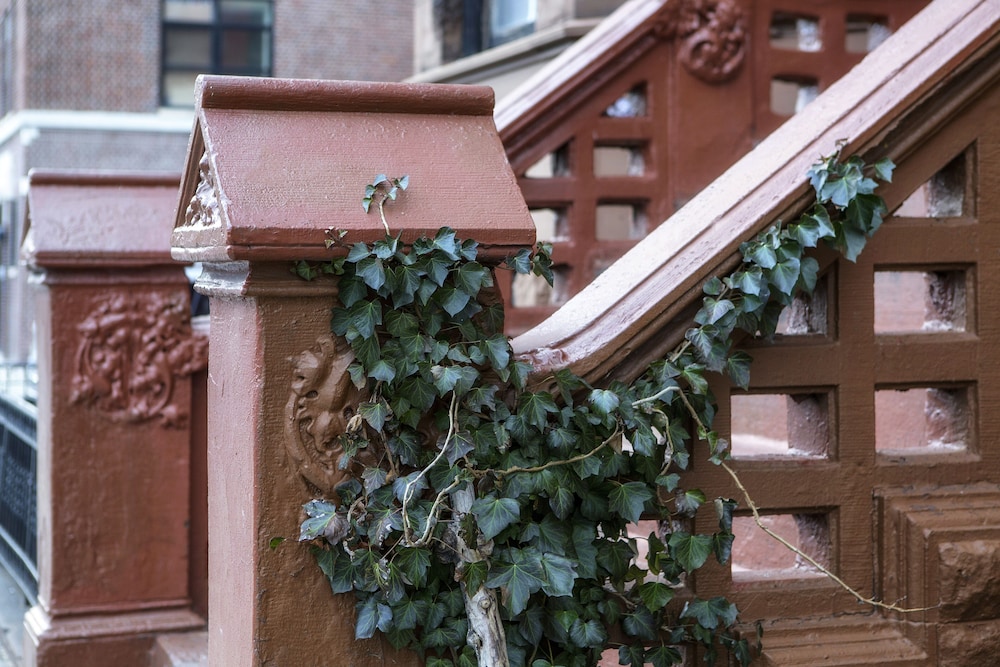 Suites in a Manhattan Mansion - photo 45