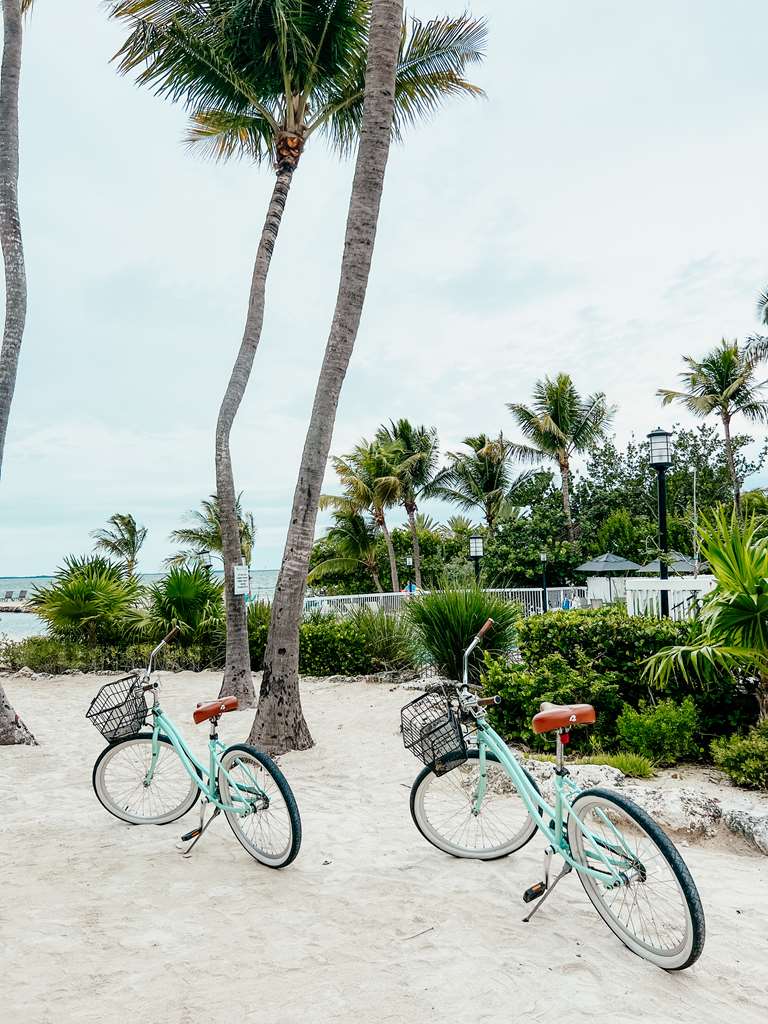Bayside Inn Key Largo - photo 59
