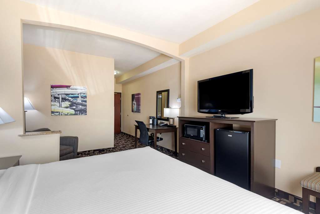 Best Western Plus Arlington North Hotel & Suites - photo 16