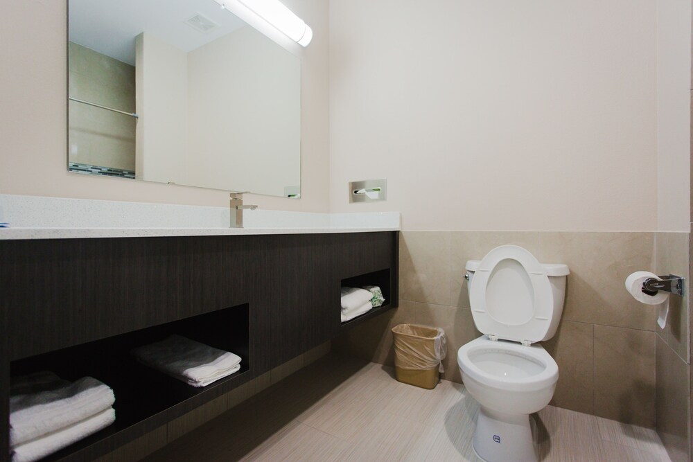 Palace Inn and Suites Willowbrook Mall - photo 29