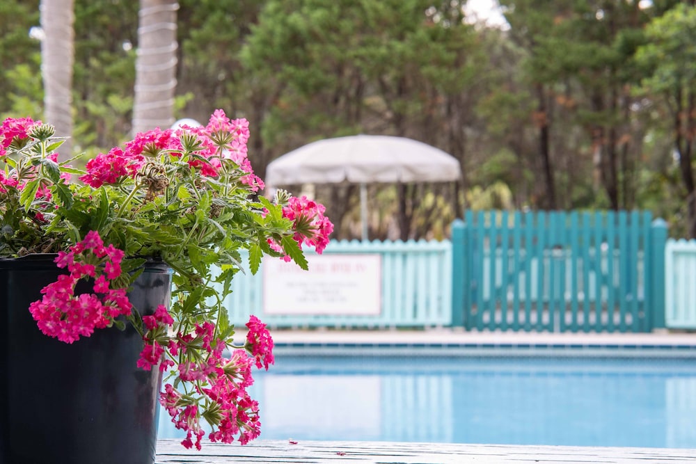Steinhatchee River Inn - photo 35