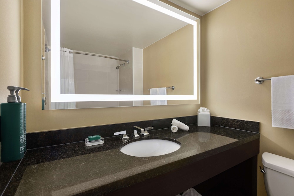 Hilton Tampa Downtown - photo 57
