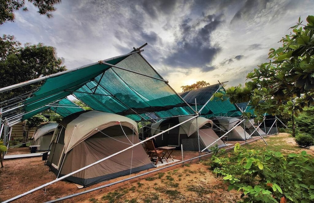 Walai Penyu Conservation Park Sandakan in Sandakan, Malaysia