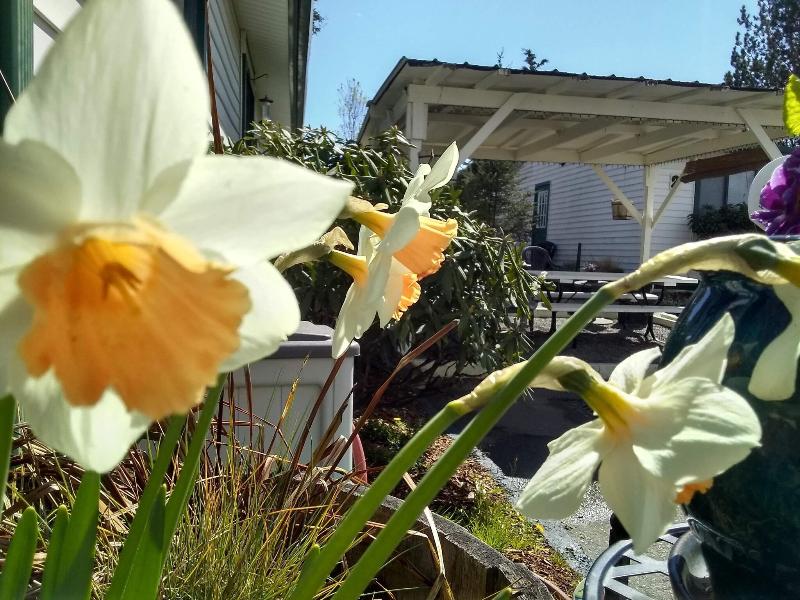The Orca Inn - photo 29