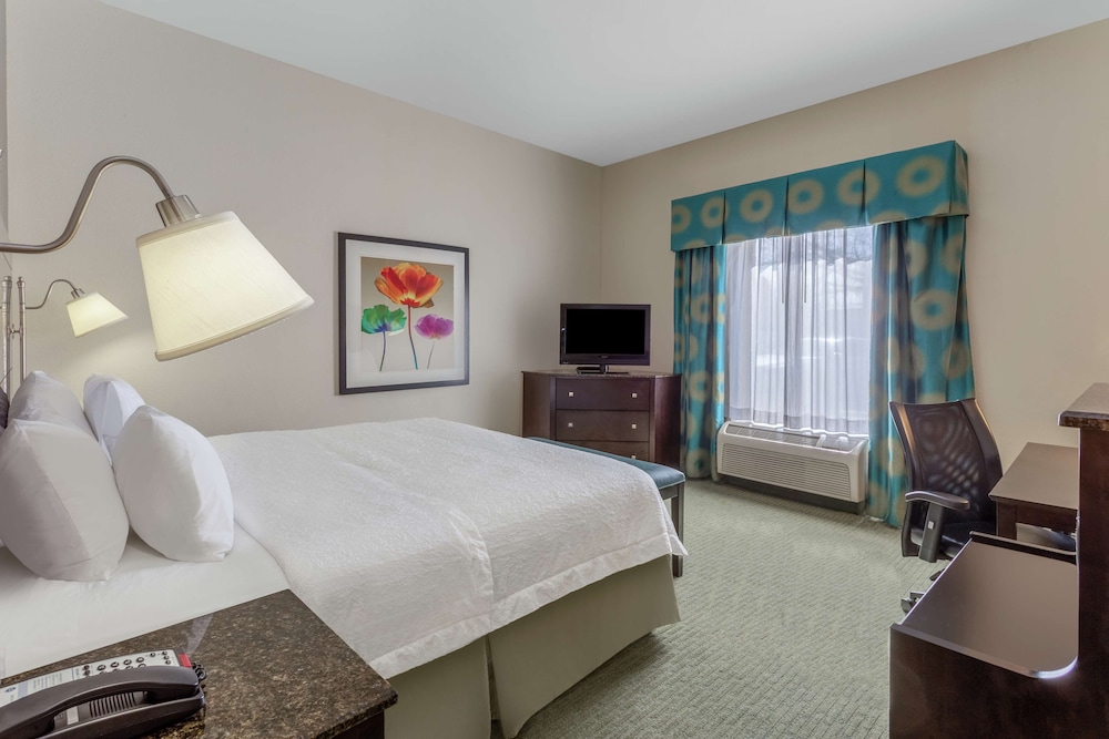 Hampton Inn Richmond South - photo 5