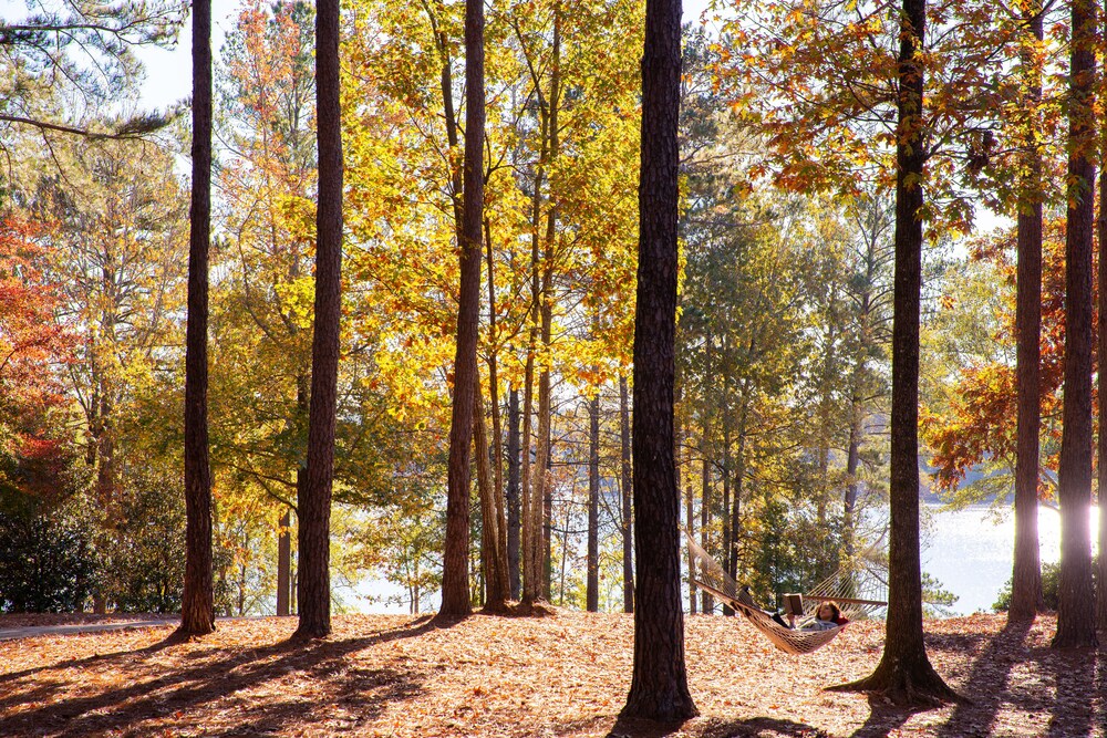 The Ritz Carlton Reynolds Lake Oconee - photo 214