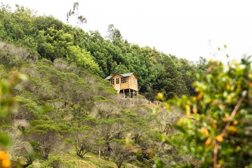 Paradise Glamping — hotel in Choconta