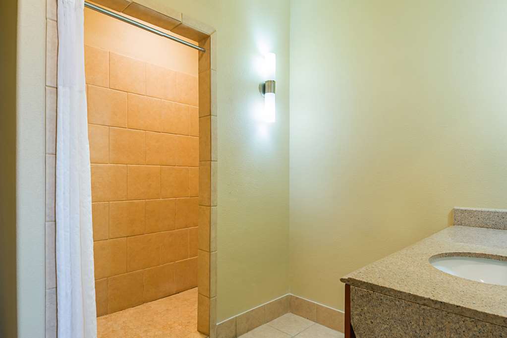 Comfort Suites Lake Charles - photo 13