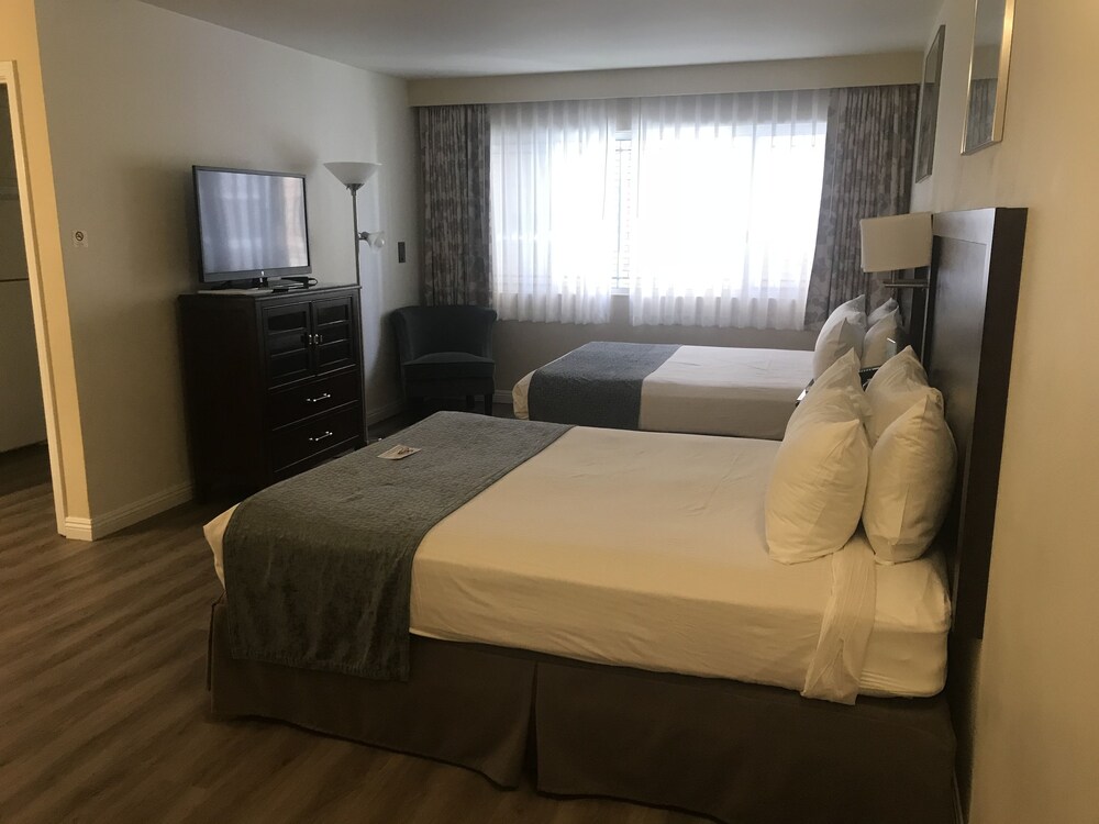 Hollywood Orchid Suites - photo 7