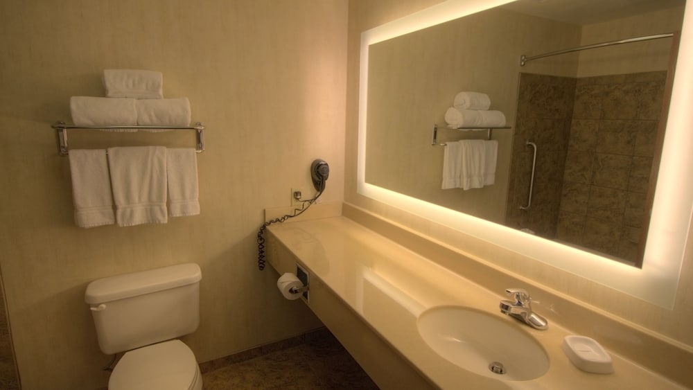 Holiday Inn Express & Suites Sioux Center by IHG - photo 18