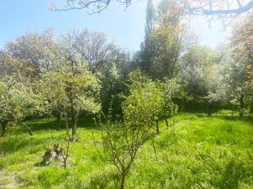 GuestHouseBjni in Bjni, Armenia