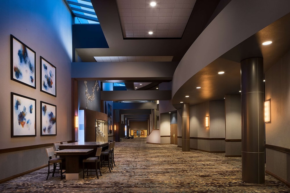 Embassy Suites by Hilton Dallas Frisco Hotel & Convention Center - photo 53