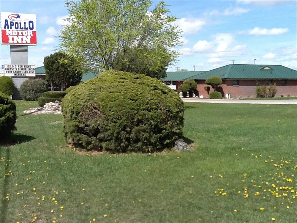 Apollo Motor Inn - photo 12