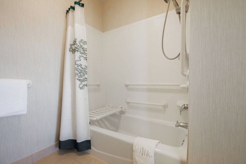 Residence Inn by Marriott Dallas Arlington South - photo 17