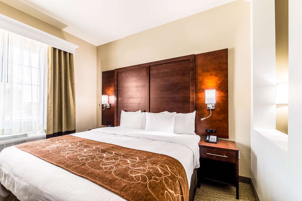 Comfort Suites Grand Prairie Arlington North - photo 21