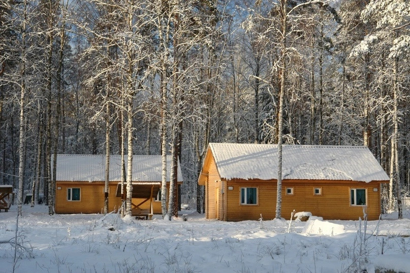 Baza otdyha Yunost in Losevo, Russia