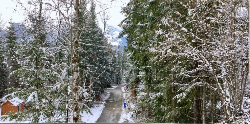 Packwood Family Ski and Vacation Getaway - photo 44