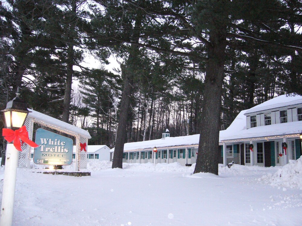 White Trellis Motel - photo 11