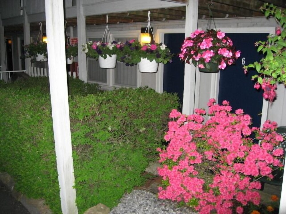 Sea Whale Motel - photo 19
