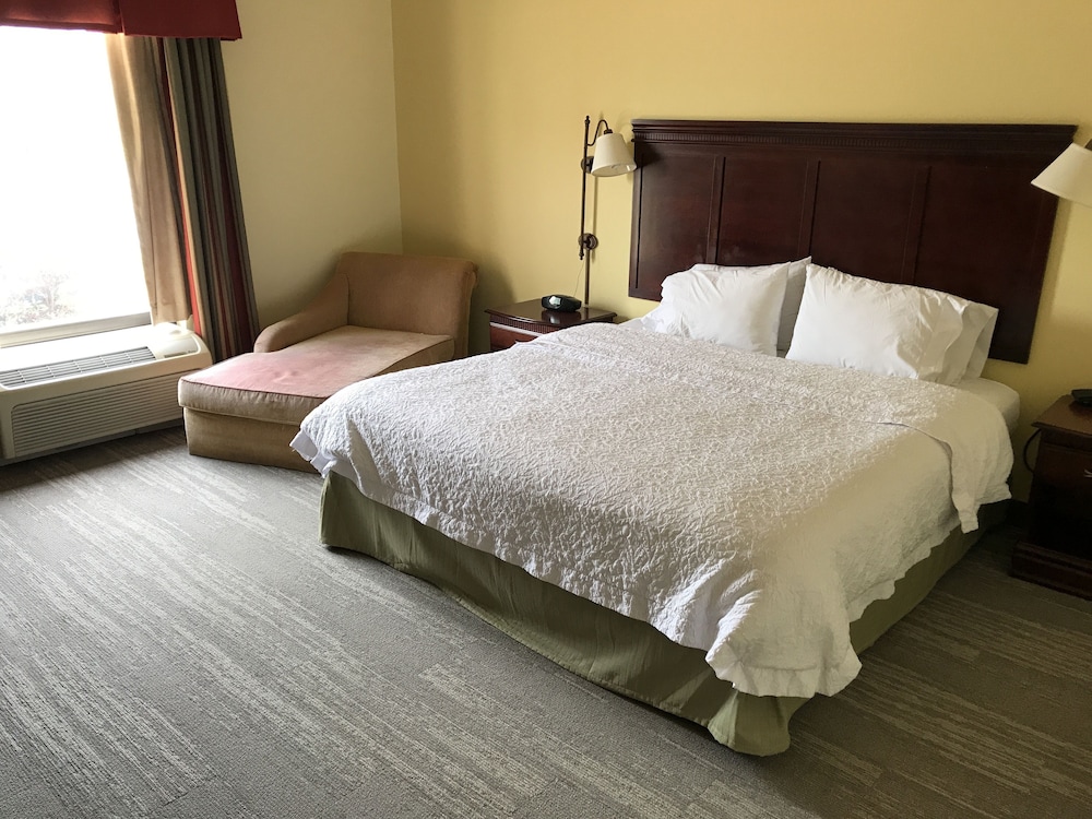 Hampton Inn & Suites Lamar - photo 29