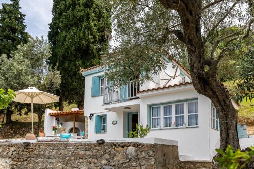 Michael's Country House — 4-Star Luxury Hotel in Skopelos, Greece