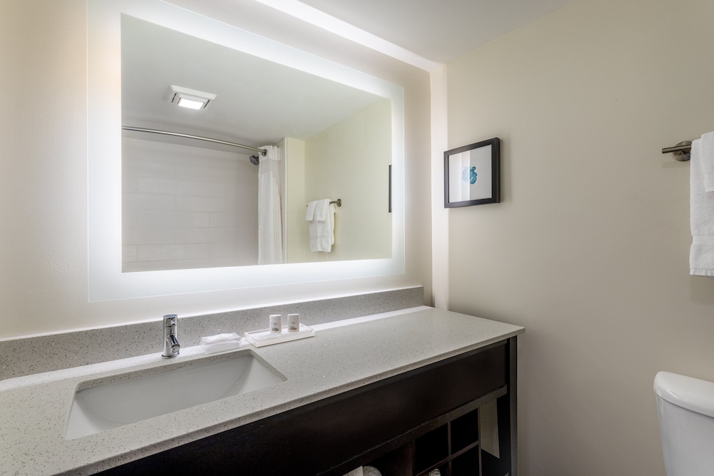Holiday Inn Tampa North - photo 20