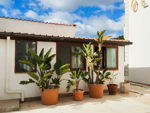 Rosa Del Sud in Lampedusa, Italy