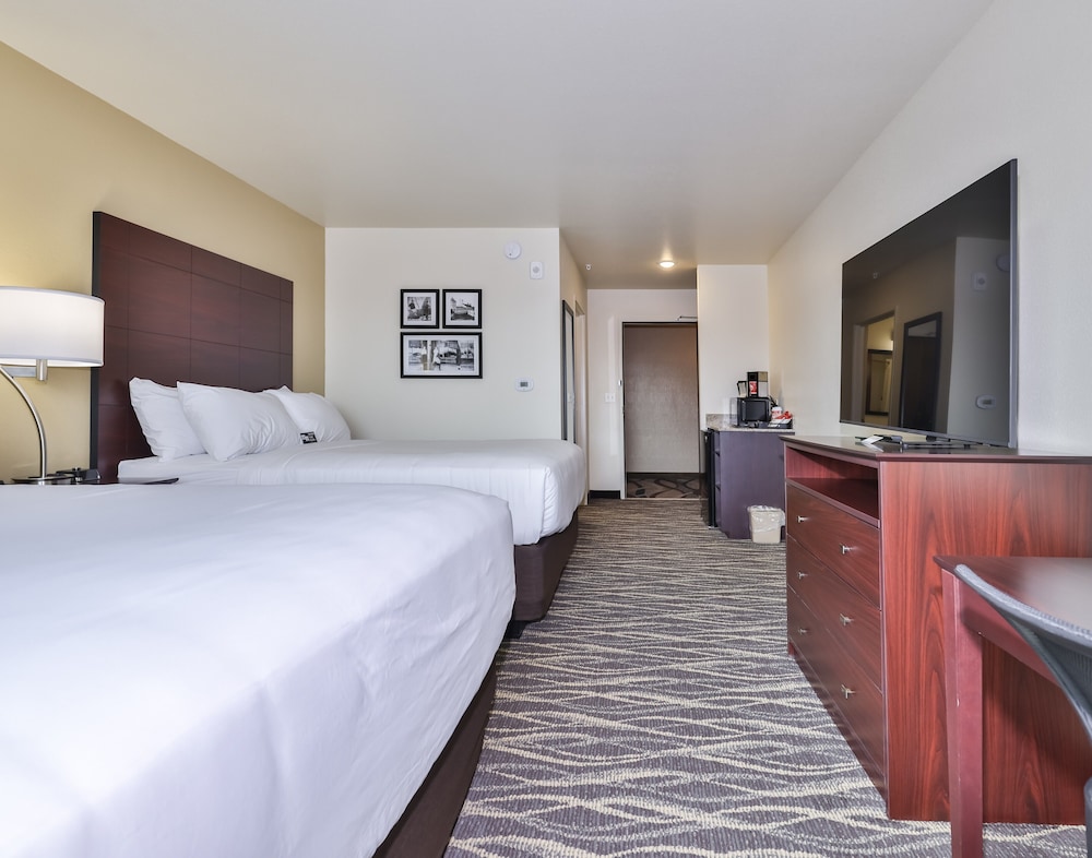 Cobblestone Hotel & Suites Rhinelander - photo 10