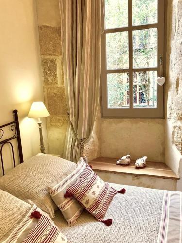 Walnut — Sarlat-La-Caneda — photo 4