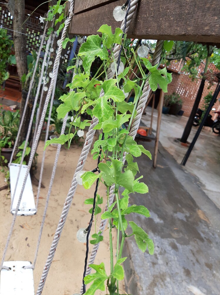 Mui Ne Connect — Phan Thiet — photo 3