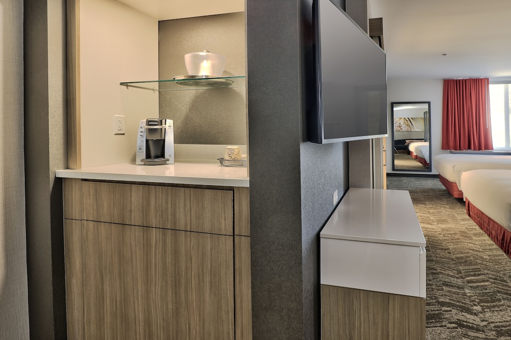 Springhill Suites by Marriott Durango - photo 11