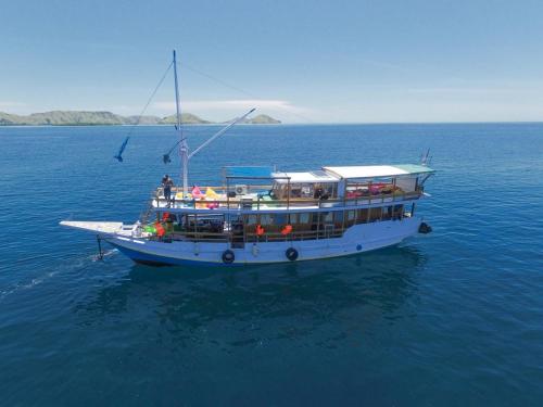 Dragon Island Tours in Labuan Bajo, Indonesia
