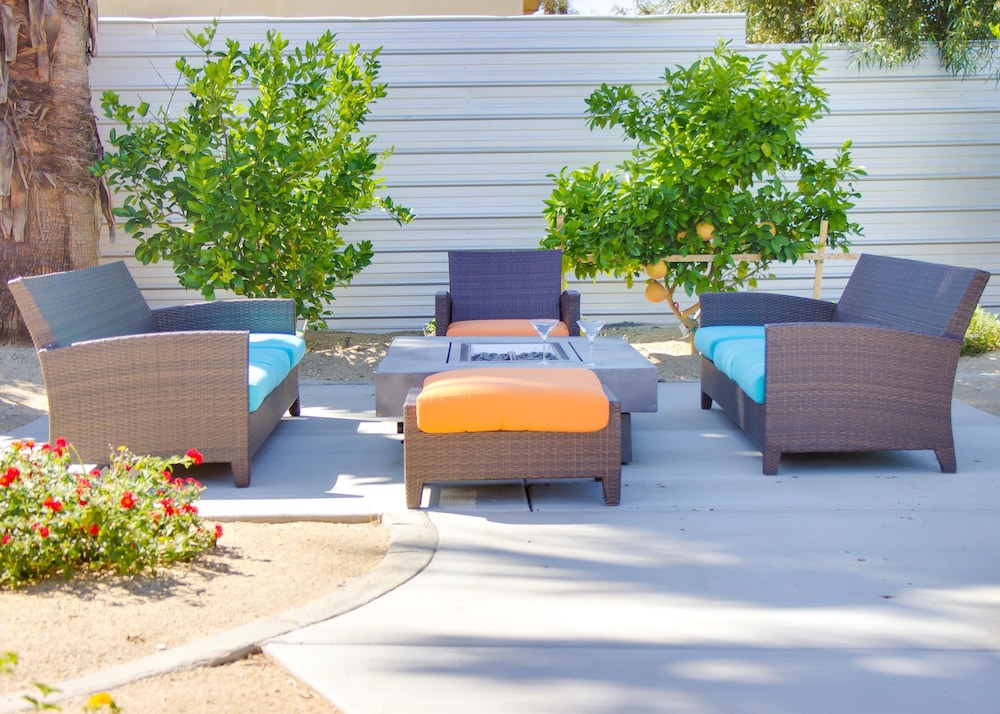 Midcentury Rose - photo 21