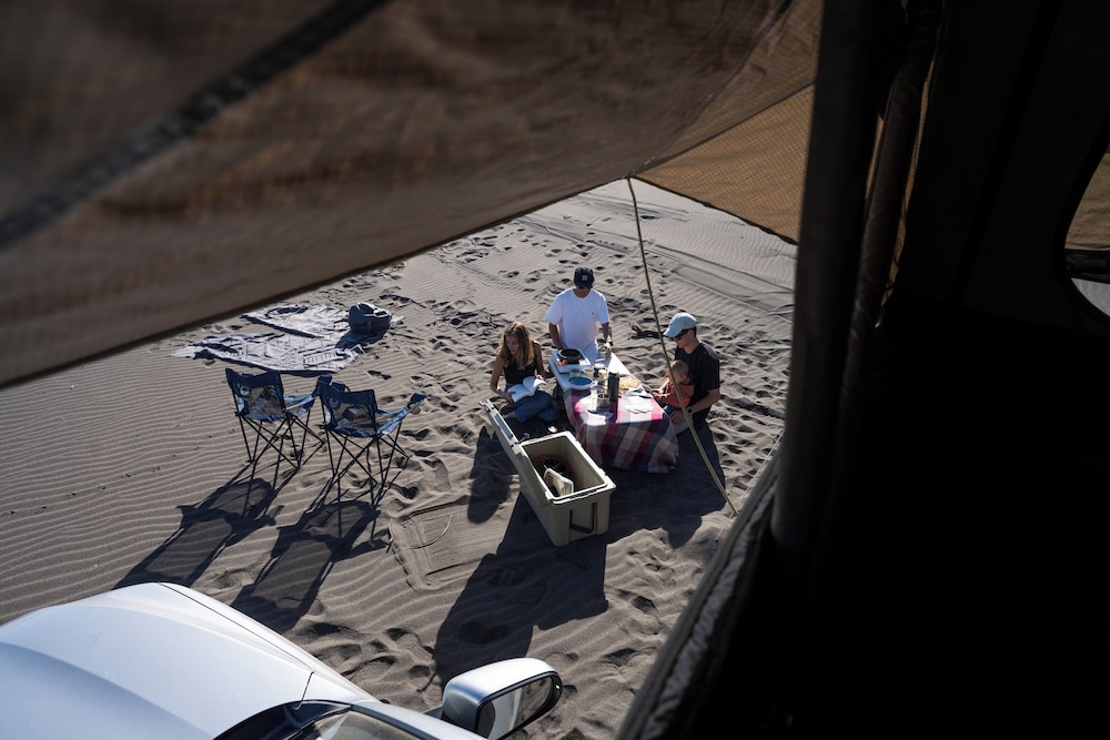 The Shepherd Company in Coyhaique, Chile