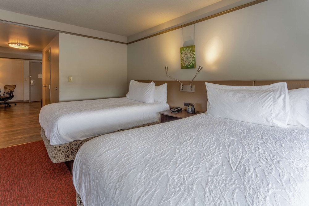 Hilton Garden Inn Owings Mills - photo 8
