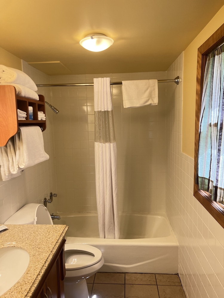 All Star Inn & Suites - photo 337