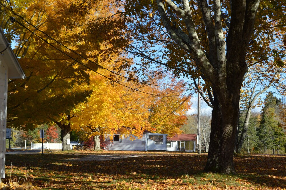 Eden Village Motel & Cottages - photo 31
