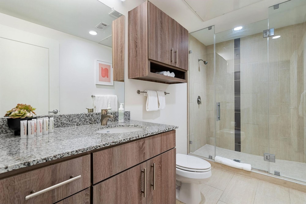 Mid Main Lofts 6424 Cool Designer 1BR Loft Midtown Houston - photo 8