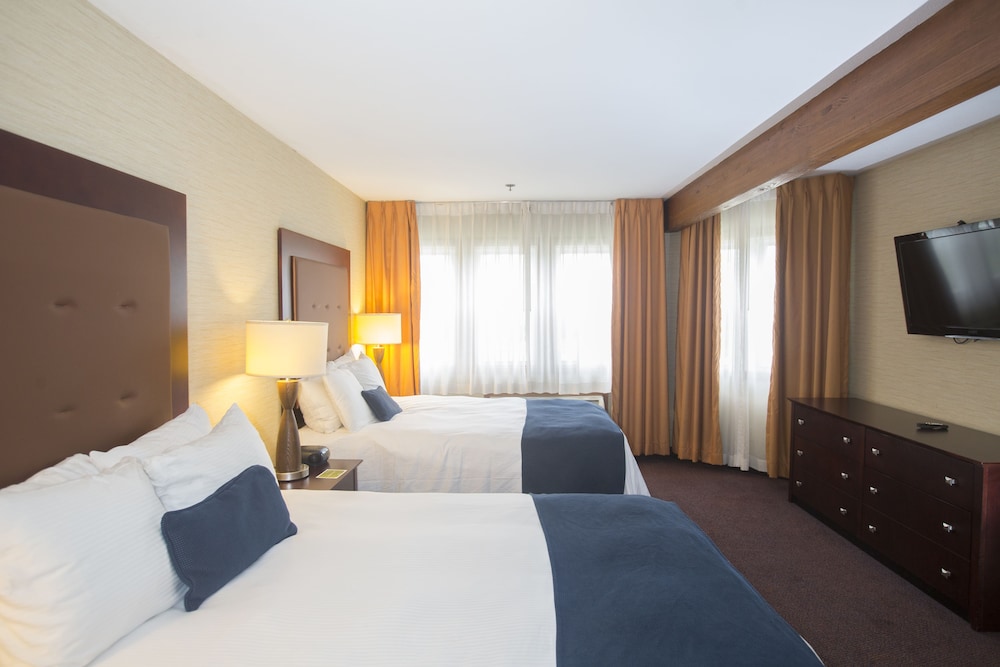 Ivy Court Inn & Suites - photo 9