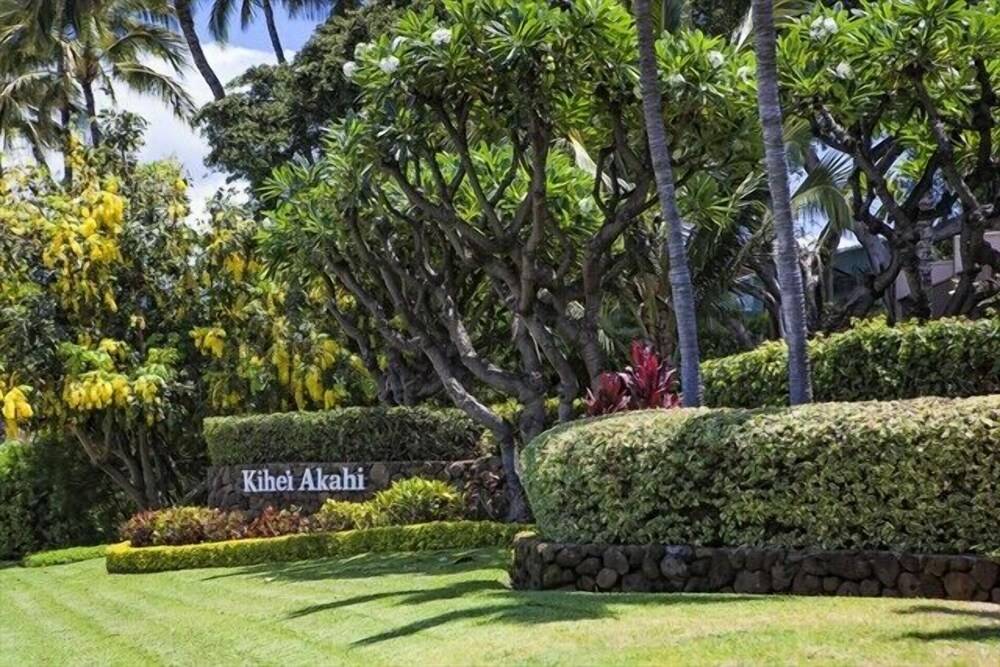 Kihei Akahi D402 - photo 38