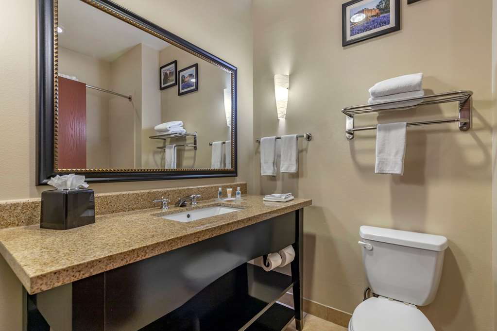 Comfort Suites Buda Austin South - photo 27