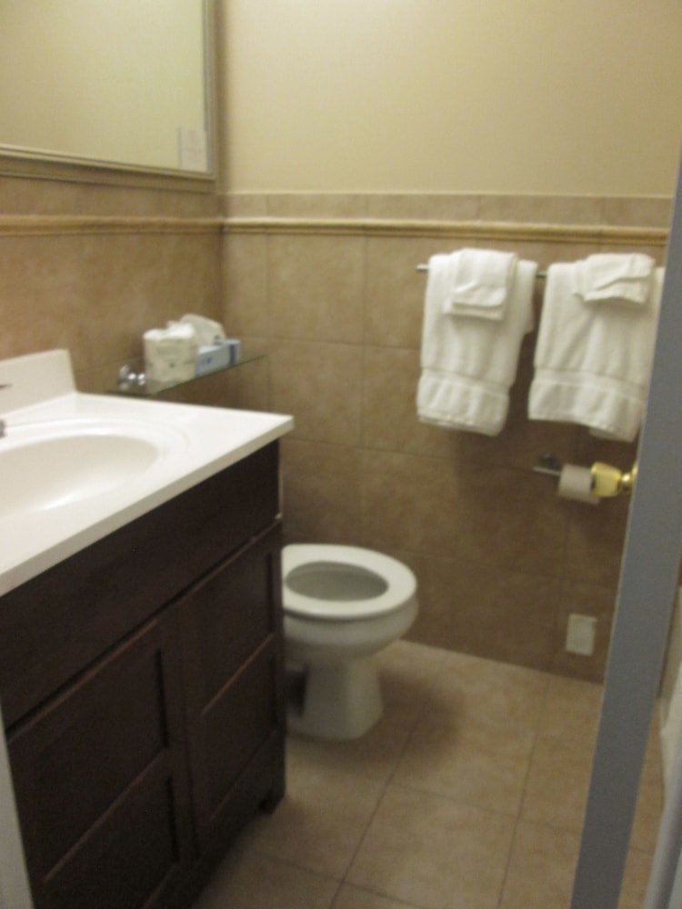 Best Western Turtle Brook Inn - photo 14