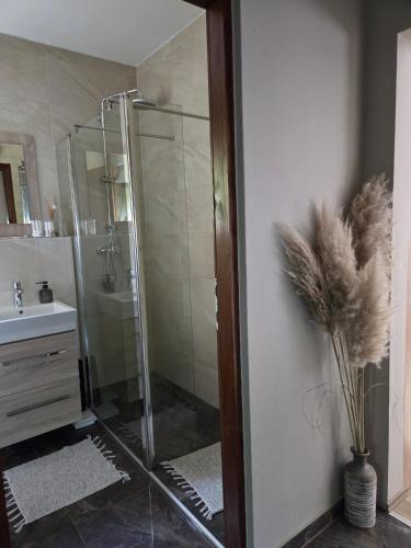 Donna — Rakovica — photo 2