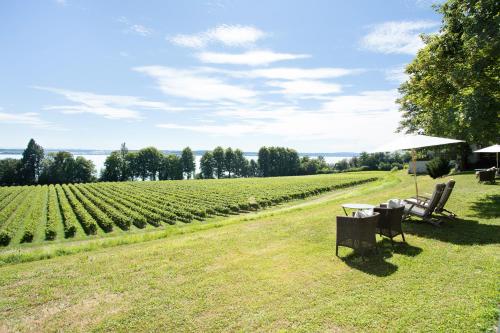 Schloss Kirchberg Schlossnest — 4-Star Luxury Hotel in Immenstaad Am Bodensee, Germany