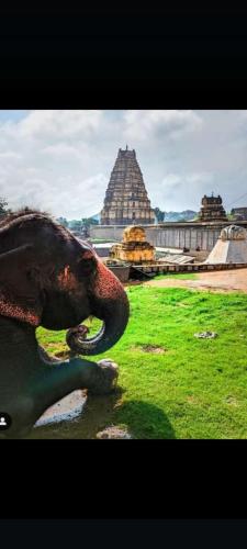Jai Shivray in Hampi, India