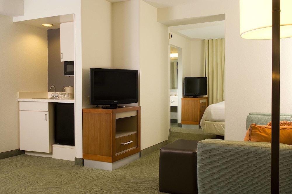 SpringHill Suites by Marriott Convention Center I drive - photo 8
