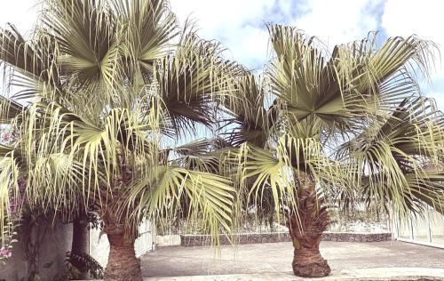 LaKaz Deux Palmiers in Saint-Joseph, Réunion